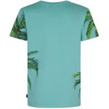 Petrol Industries - T-shirt - Aquablauw/Groen - 100% Katoen