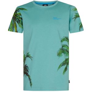 Petrol Industries - T-shirt - Aquablauw/Groen - 100% Katoen
