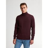 Petrol Industries - Coltrui - Rood - Regular Fit - Pullover