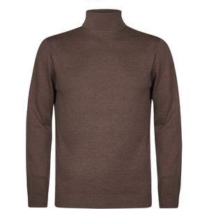 Petrol Industries - Coltrui - Bruin - Regular Fit - Pullover