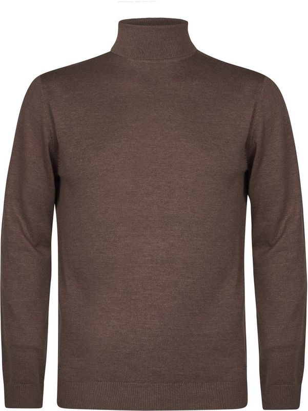 Petrol Industries - Coltrui - Bruin - Regular Fit - Pullover