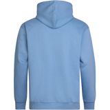 Petrol Industries - M-3050-SWH3530 - Hoodie