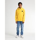 Petrol Industries - B-3050-SWH398 - Hoodie - Jongens