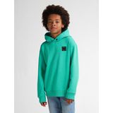 Petrol Industries - B-3050-SWH398 - Hoodie - Jongens
