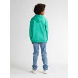 Petrol Industries - B-3050-SWH398 - Hoodie - Jongens