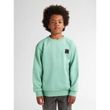 Petrol Industries - Logo Sweater Adirondack - Blauw - Truien