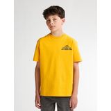 Petrol Industries - B-3050-SWH398 - Hoodie - Jongens