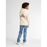 Petrol Industries - B-3050-SWH389 - Hoodie