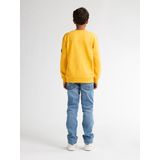 Petrol Industries - Allegheny - Sweater - Geel - Jongens