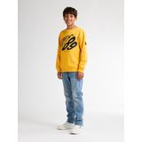 Petrol Industries - Allegheny - Sweater - Geel - Jongens