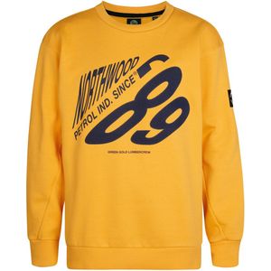 Petrol Industries - Allegheny - Sweater - Geel - Jongens