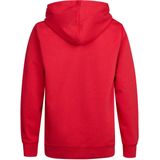 Petrol Industries - B-3050-SWH302 - Hoodie