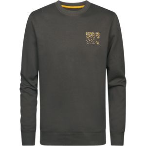 Petrol Industries - Sweater - Grijs - Regular Pasvorm - Lange Mouwen