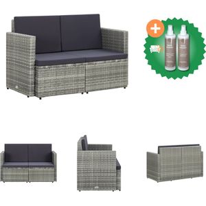 vidaXL Tuinbank 2 zits met kussens poly rattan grijs Loungebank Inclusief Onderhoudsset