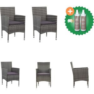 vidaXL Tuinstoelen 2 st poly rattan grijs Tuinstoel Inclusief Onderhoudsset