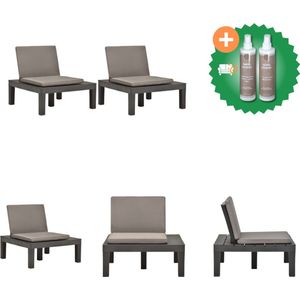vidaXL Loungestoelen 2 st met kussens kunststof antraciet Tuinstoel Inclusief Onderhoudsset