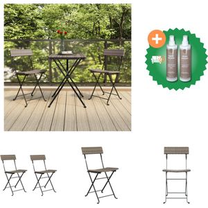 vidaXL Bistrostoelen 2 st inklapbaar poly rattan en staal grijs Tuinstoel Inclusief Onderhoudsset