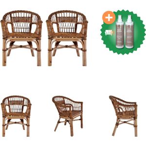 vidaXL Tuinstoelen 2 st natuurlijk rattan bruin Tuinstoel Inclusief Onderhoudsset