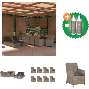 vidaXL 11 delige Tuinset poly rattan bruin Tuinset Inclusief Onderhoudsset