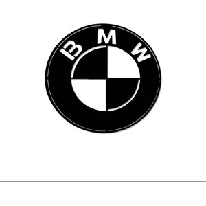 BMW - Logo - Metaalkunst - Grijs - 40 x 40 cm - Auto Decoratie - Muur Decoratie- Man Cave - Cadeau voor man- Inclusief ophangsysteem