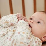 Boxpakje - Multicolor - Biologisch Katoen