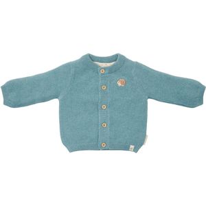 Little Dutch Vest - Maat 50 - Gebreid vest Jongens - Baby Blue, Blauw - Forest Friends Newborn