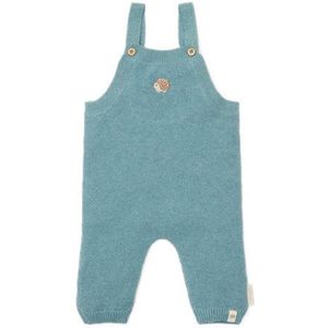 Little Dutch - Forest Friends - Boxpakje - Baby Blue - Biologisch Katoen