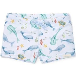 Zwembroek - Sea Life - Multicolour - Recycled Polyester