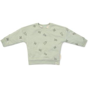 Little Dutch - Baby Trui - Mint - 97% Biologisch Katoen / 3% Elastaan