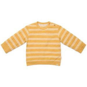 Little Dutch Baby Trui Yellow Stripe
