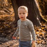 Little Dutch - Forest Friends - Longsleeve - Groen - Stripe-74