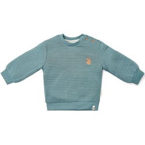 Sweater - Blauw - Forest Friends - 74