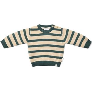 Gebreide Trui - Groen - Forest Friends - Stripe-74