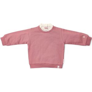 Sweater - Roze - Fairy Garden - Met Kraag