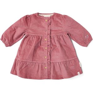 Jurk - Roze - Fairy Garden - Corduroy - Lange Mouw - Maat 74