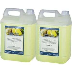 Body & Hair Fresh Ginger- 5 Liter - set van 2 stuks - 2 in 1 voor lichaam en haar.