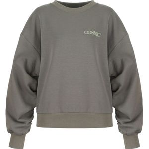 Fluresk - Dianthe - Sweater - Bruin - Dames