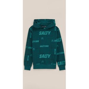 WE Fashion Jongens hoodie met opdruk