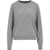 WE Studio - Dames trui van wol en kasjmier - Regular fit - Grijs - Wol - Maat: S