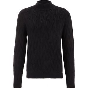 WE Fashion Heren kabeltrui