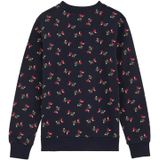 WE Fashion - Jongens Trui - Donkerblauw - Regular Fit - Katoen