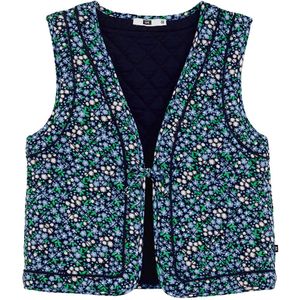 WE Fashion Bodywarmer  lichtblauw / donkerblauw / groen / wit