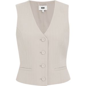 WE Fashion - Getailleerd Gilet - Krijtstreep