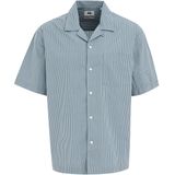 WE Fashion - Heren Poplin Overhemd - Blauw - Katoen - Regular Fit