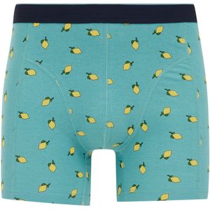 WE Fashion - Boxershort - Turquoise - Multipack
