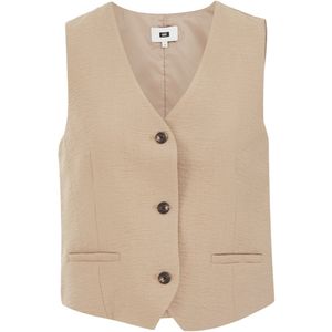 WE Fashion - Getailleerd Gilet - Krijtstreep