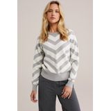WE Fashion - Dames Gebreide Trui - Grijs - Livaeco Viscose
