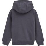 Blue Ridge - Jongens Hoodie - Grijs - Regular Fit - Katoen