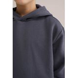 Blue Ridge - Jongens Hoodie - Grijs - Regular Fit - Katoen