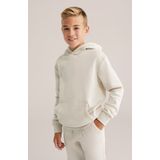 WE Fashion - Hoodie - Regular Fit - Jongens